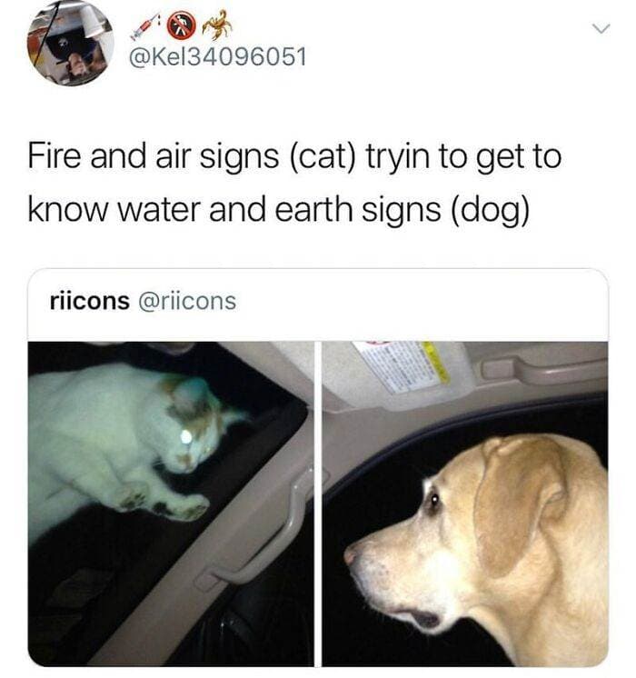 Funny Astrology Memes Jakesastrology 662F4B25927A7 700