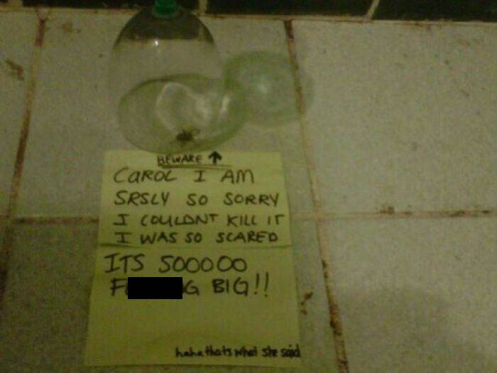 30 Hilariously Written Apology Notes Recipients Couldn't Resist Sharing
