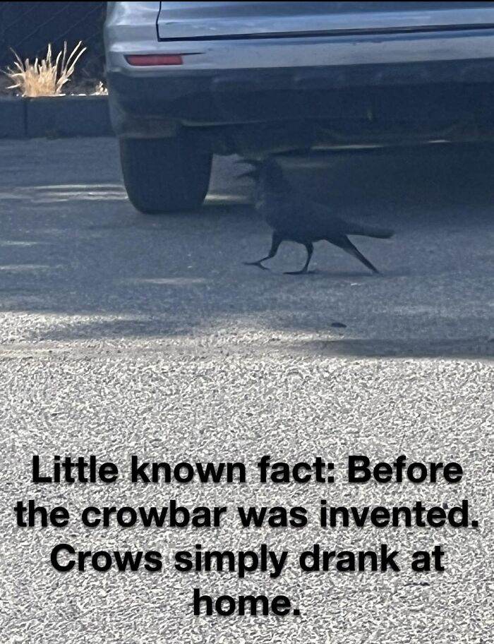 139 6666B31A0C894 700