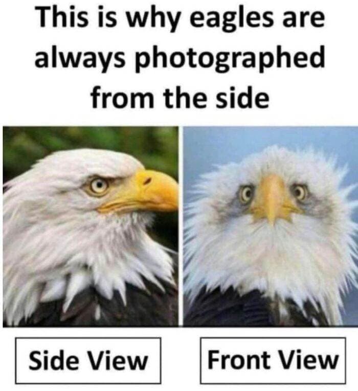 60 6666A7760B844 700