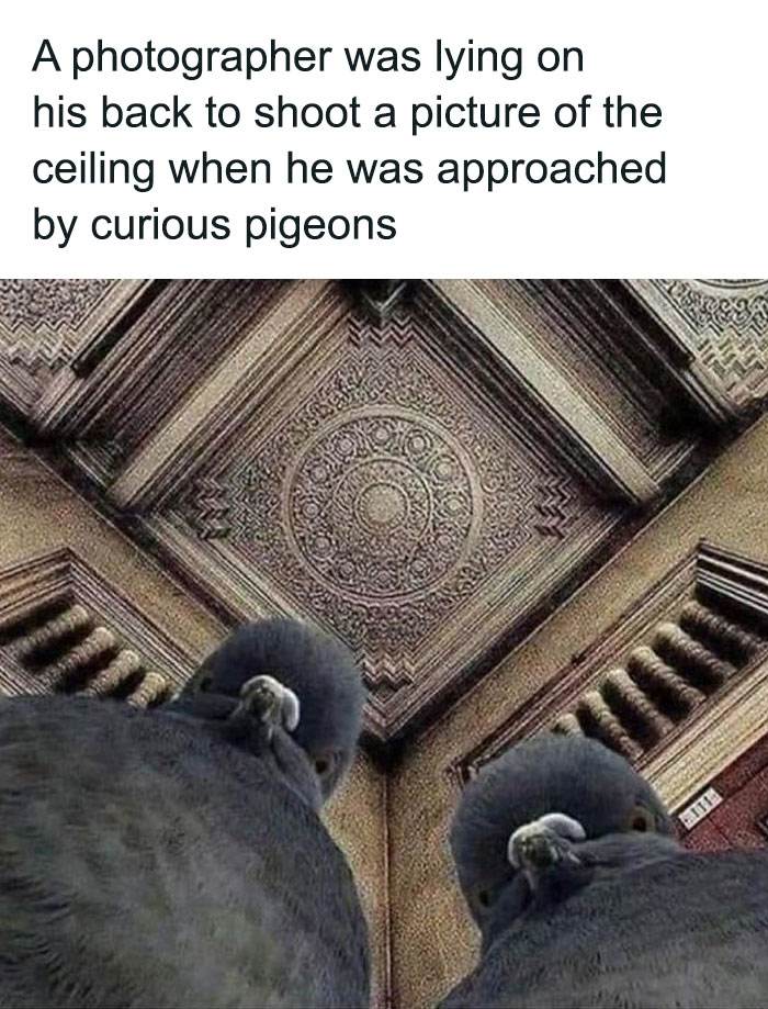 30 Awesome Memes That Will Leave You In Tears From Laughter
