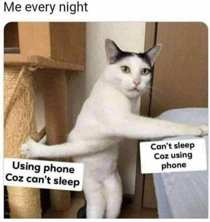 82 6666Aa13Df425 700
