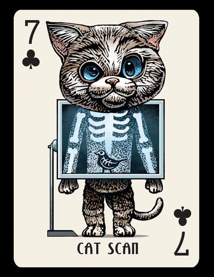 Chet Phillips Brings Feline And Canine Celebrities To Life In Unique Playing Card Decks 18 Pics 6663B0C556Be5 700