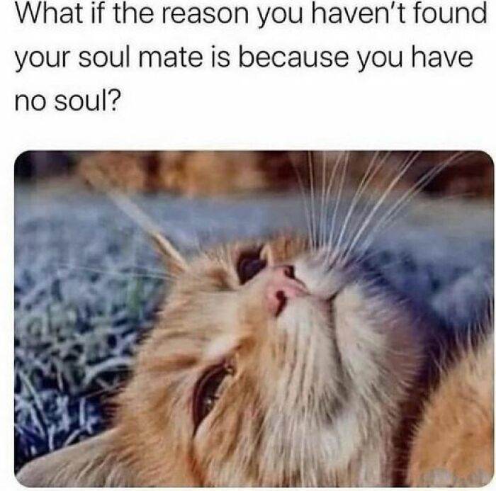 Philosophy Memes125 66616554E6D44 700