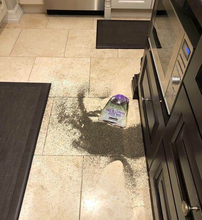 6668329F3645F House Cleaning Fails