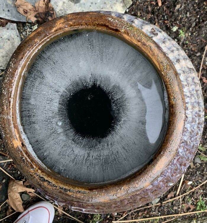 668514C9918C5 8M4Jya7Jg0H21 700
