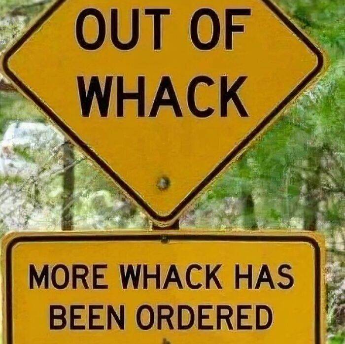 668D01A836769 Funny Signs Everywhere