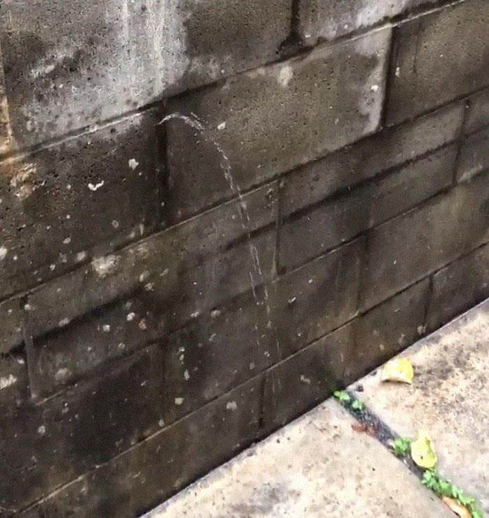 Best Dangerous Structure Fails Pics 667A658133887 700