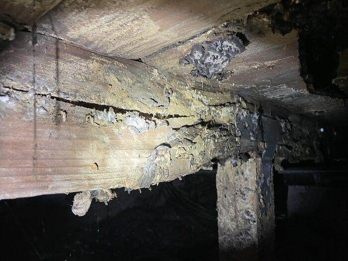 Best Dangerous Structure Fails Pics 667A7072C9E7D 700