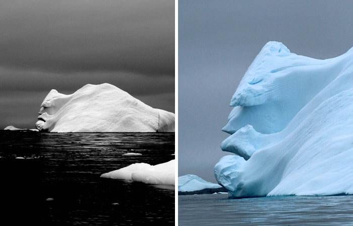 Interesting Pareidolia Pics 60 668D283B3Be77 700