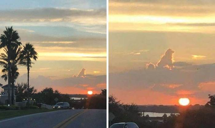 30 Hilarious Examples Of Pareidolia That Show Our Brains Can Imagine Anything