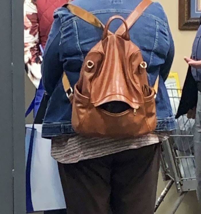 Interesting Pareidolia Pics 7 668535C5B2Cf8 700