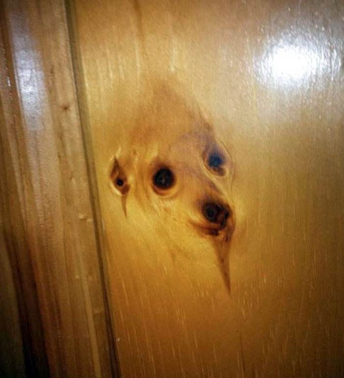 Interesting Pareidolia Pics 79 668D27D1E3906 700