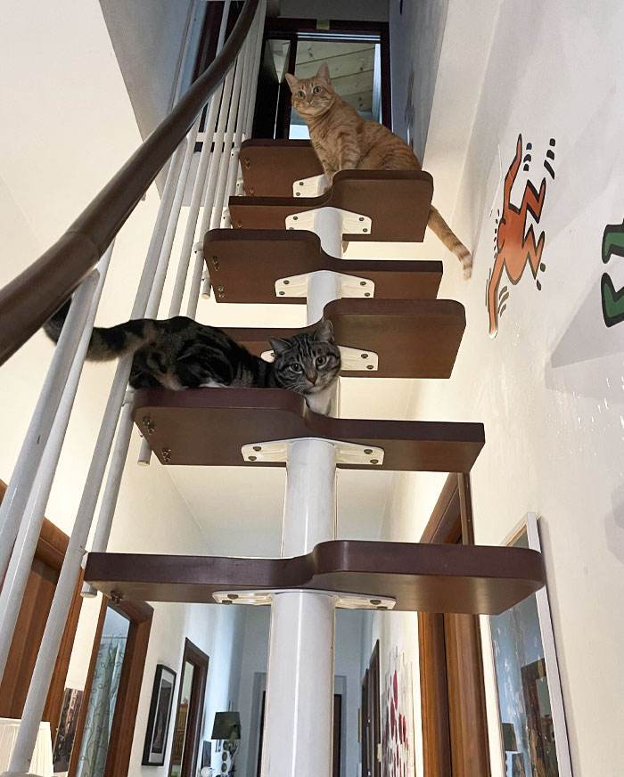 30 Instances Where Designers Created The Worst Stairs Imaginable