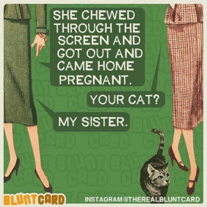 30 Hilarious And Relatable ‘Bluntcards’