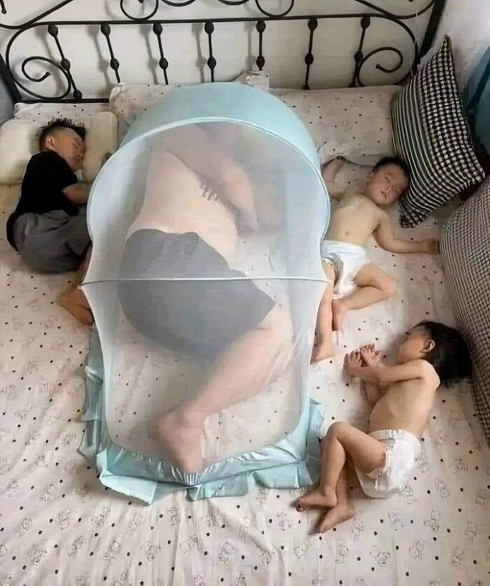 66B5Db7E4802B Weird Disturbing Funny Images