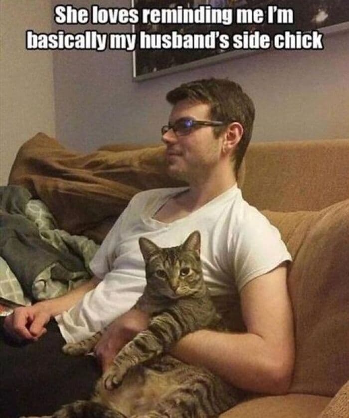 66B624Fd3268A Funny Animal Feed Memes