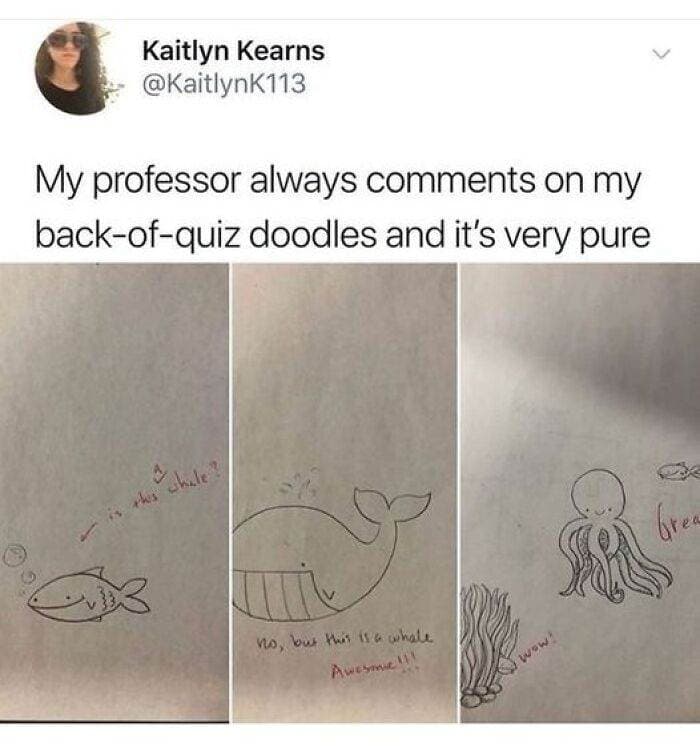 66B9A67E21F1C Funny Animal Feed Memes