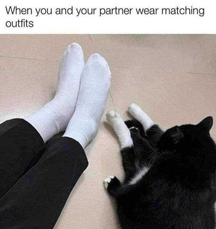66B9A69F73Cd4 Funny Animal Feed Memes