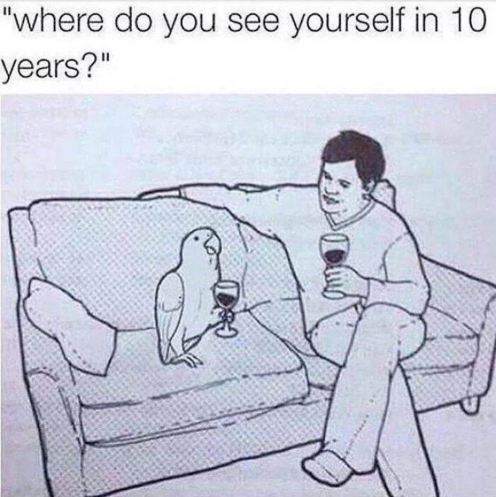 66B9A9Bfee9Fc Funny Animal Feed Memes