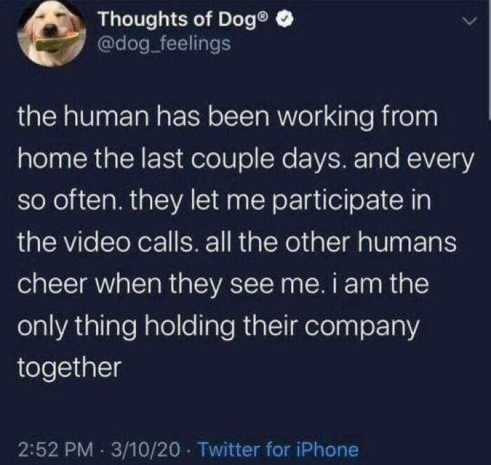 66B9Ac8A1Aef8 Funny Animal Feed Memes