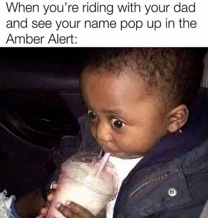 66Bc7F315E174 Hilarious Random Memes Thesafewordisavocado