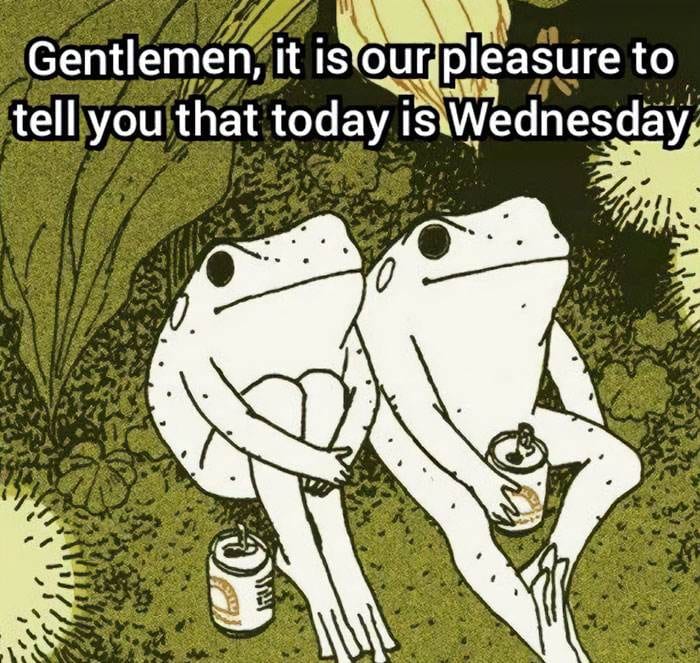 Wednesday Memes 7 66Bc938C4E7C9 700
