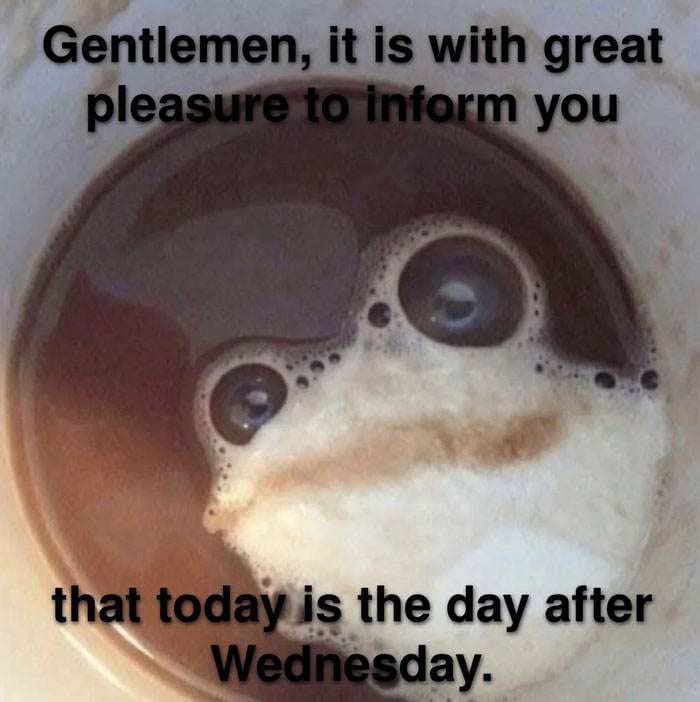 Wednesday Memes 9 66Bc9390485C0 700
