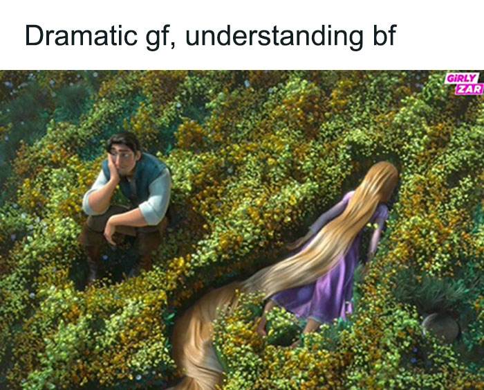 Funny Girly Memes Girlyzar3 66Bca9Fa2D10D 700