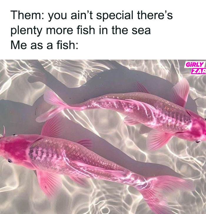 Funny Girly Memes Girlyzar9Jpg 66Bcb92B657C4 700