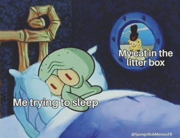 30 Hilarious And Relatable Spongebob Memes