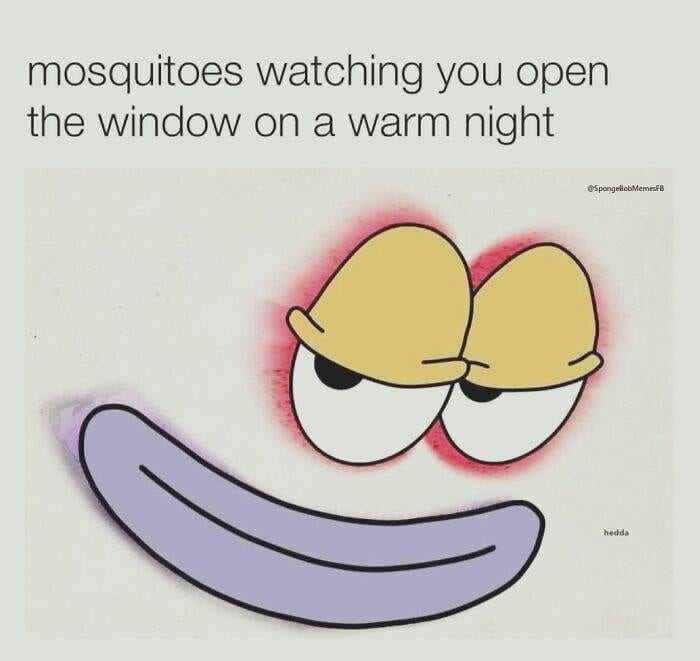 30 Hilarious And Relatable Spongebob Memes