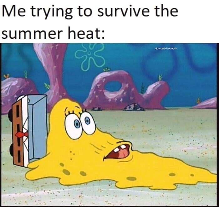 Funny Spongebob Memes 66B9B88D602Fa 700