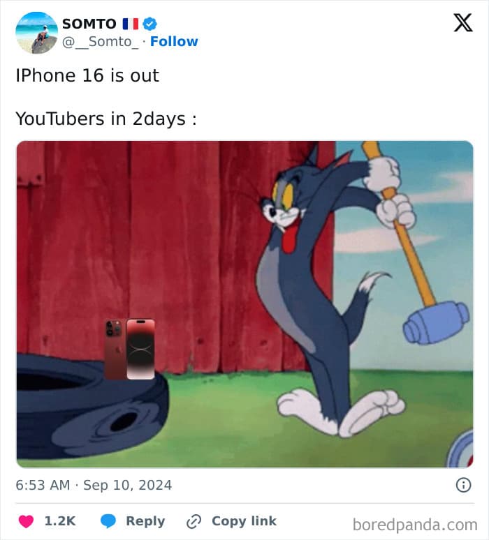 1833398436625858850 Png 700 1