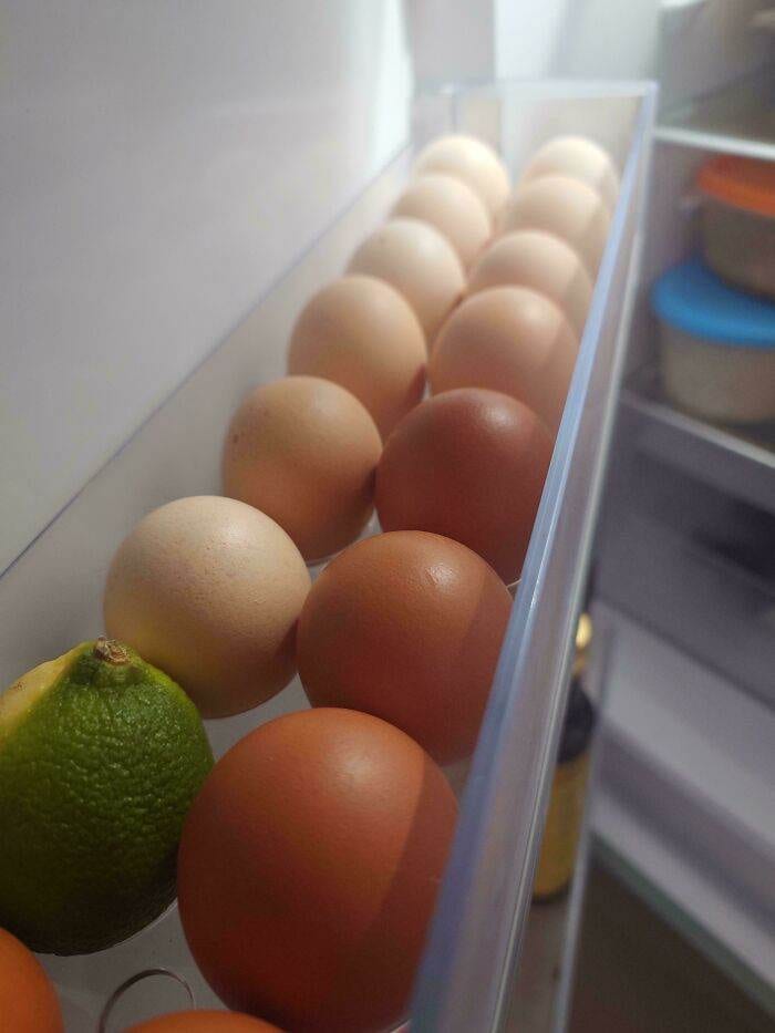 6696C4B4936D8 1Zbt1Iimevcd1 Jpeg 700