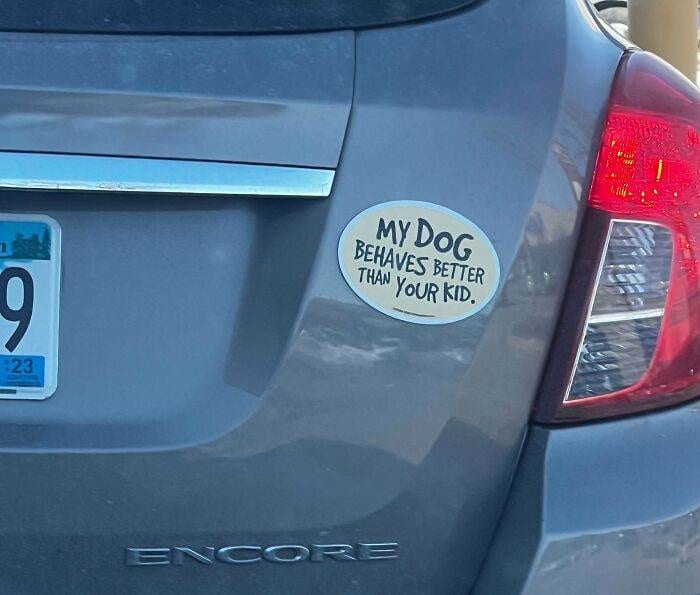 66Def98985465 Hilarious Bumper Stickers