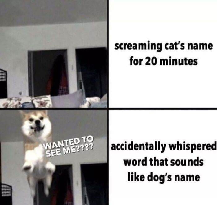 66E13E134E3F8 457316141 495205499799806 1353052877367116254 N 700