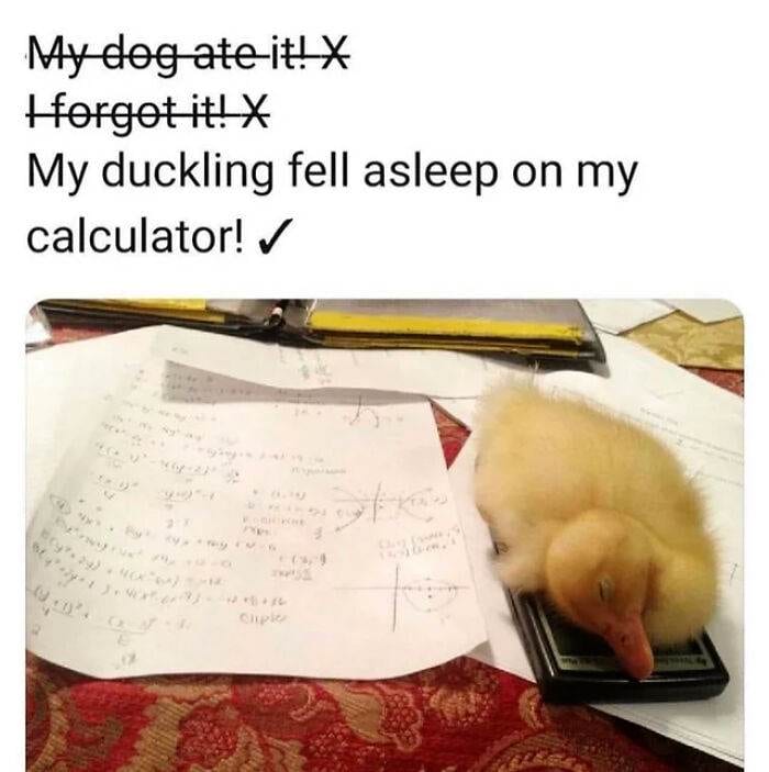 66E14461D69E2 325900310 876162300293837 2836662143712037791 N 700