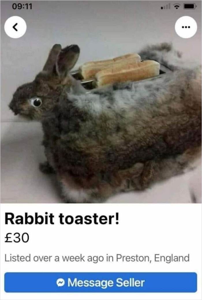 Craft Shaming Pics 7 66E2Cba254F8A 700
