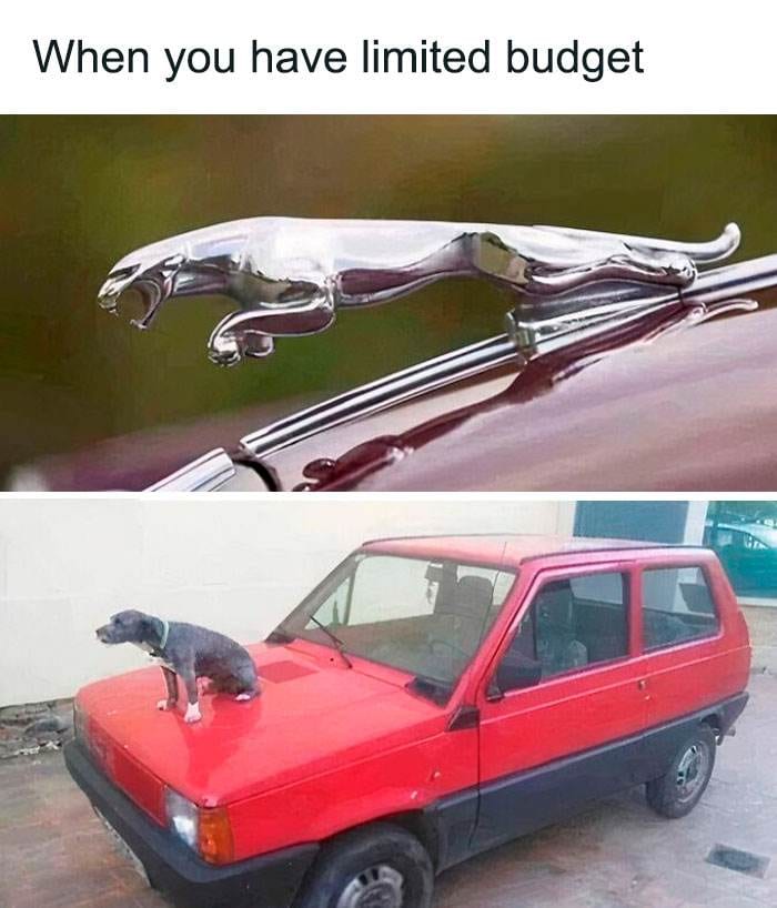 Funny Cars Memes Pics 21 66Dae0551F34D 700