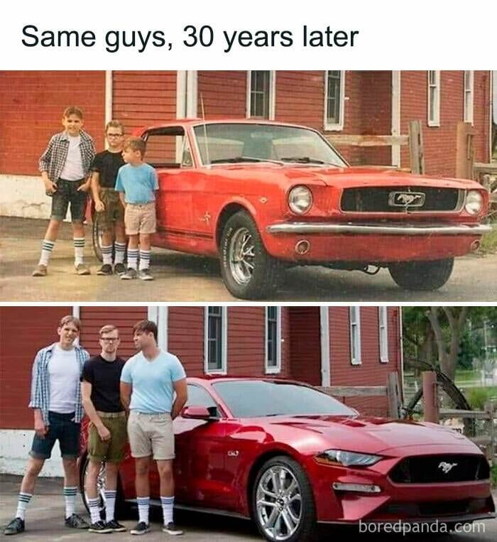 Funny Cars Memes Pics 66 66Dfd51794E2E 700