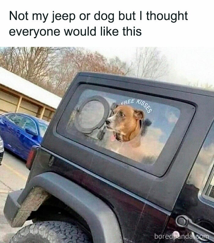Funny Dog Memes Dogmemesofinsta 21 66Df08Dae5C85 700 1