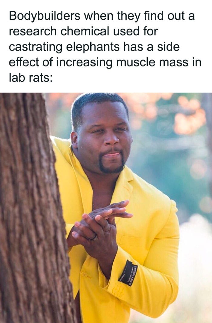 Funny Gym Culture Memes Doyouevenlift 23 66E1A5C3E8B14 700 1