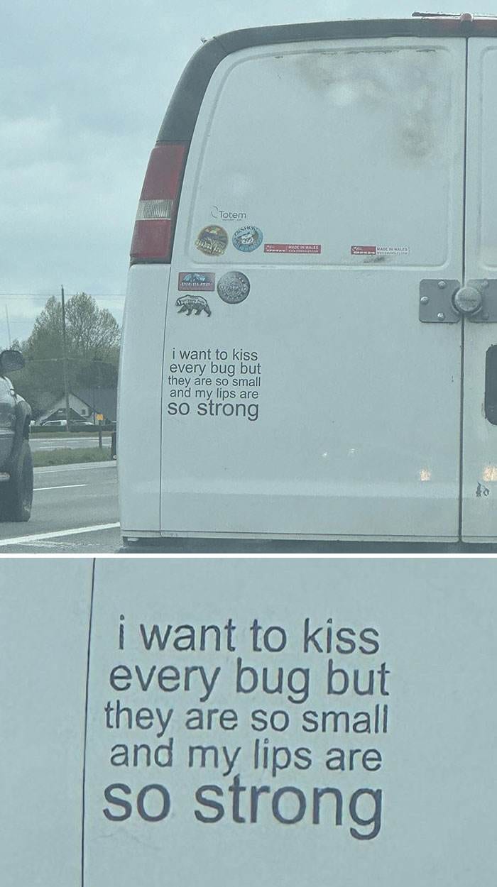 Hilarious Bumper Stickers 28 66Db1A3A850De 700