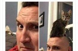 1832484032644342070 Png 700 1