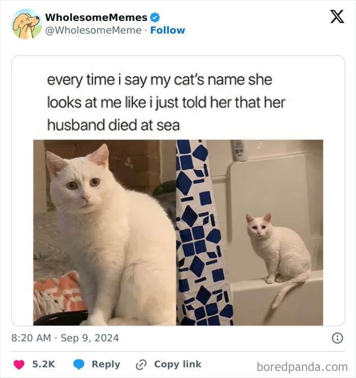 1833057878581617124 Png 700 1