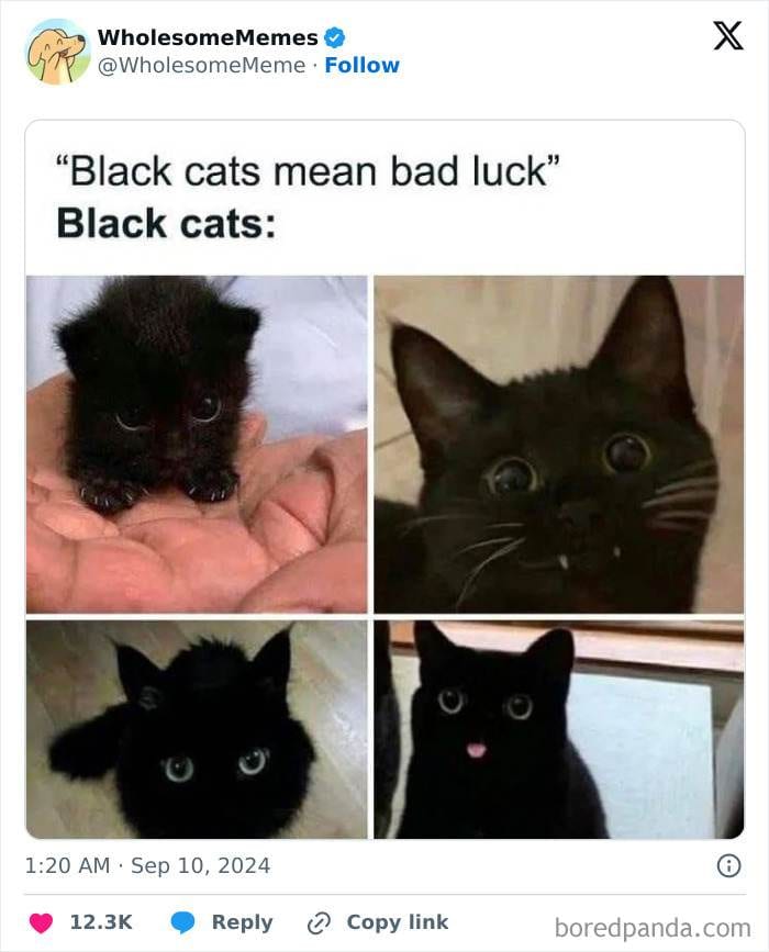 1833314522595012777 Png 700 1