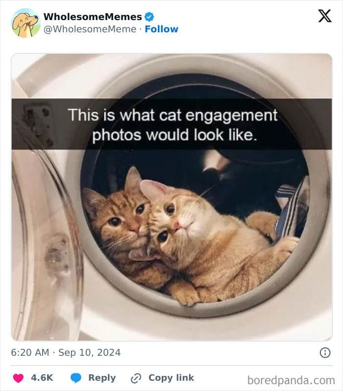 30 Uplifting Memes To Restore Your Faith In The World