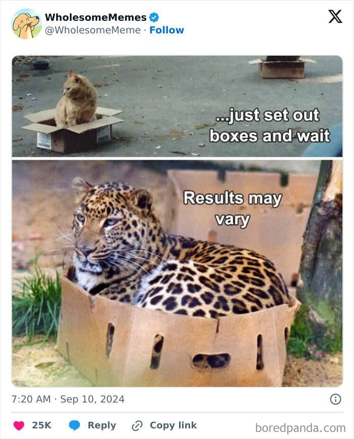 30 Uplifting Memes To Restore Your Faith In The World