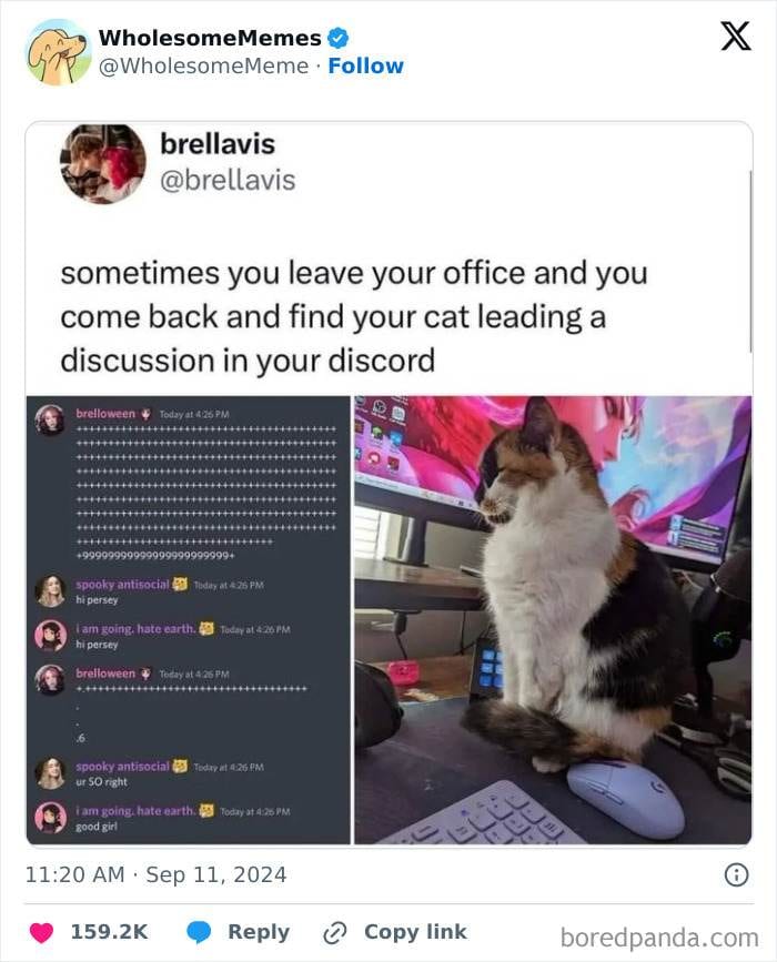 1833827969774620699 Png 700 1